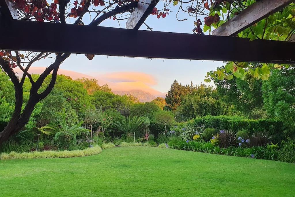 Charming Guest Suite In The Constantia Wine Valley 开普敦 外观 照片